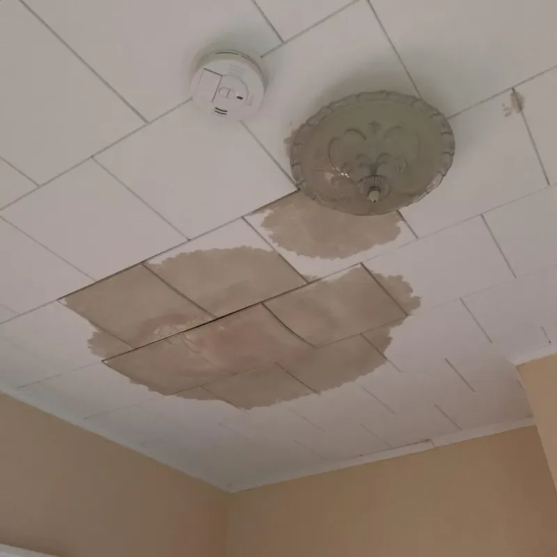 Ceiling Water Damage Repair in Arnold Line, MS
