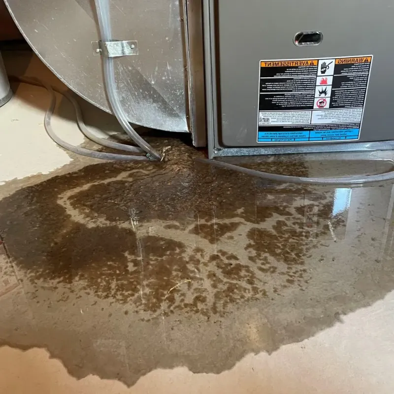 Pipe Burst and Leak Restoration in Arnold Line, MS