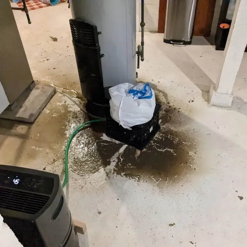 Sewage Backup Cleanup Service in Arnold Line, MS